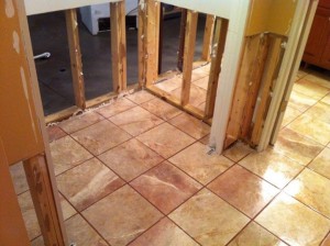 Mold Restoration Job