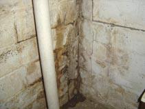 Water Damage and Mold In A Basement