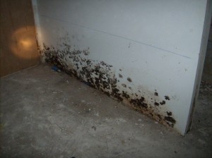 The Aftermath Of A Sewage Spill In A Basement