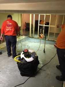 Water Damage Tallapoosa Technicians Cleaning Carpet After A Flood