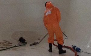 Mold Cleanup Tech At Work