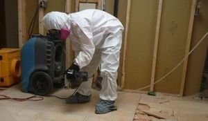 Water Damage Technicians Removing Moldy Floor