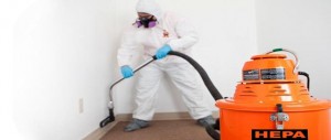 mold-removal-remediation-suit-water-damage