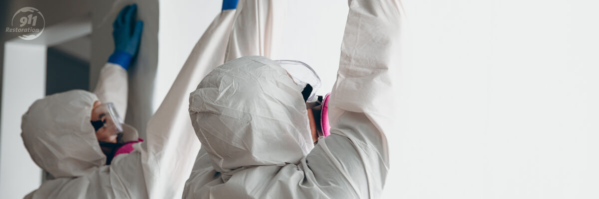 Mold Remediation Douglasville
